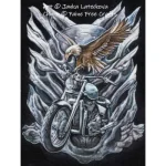 (image for) Motorbike and eagle